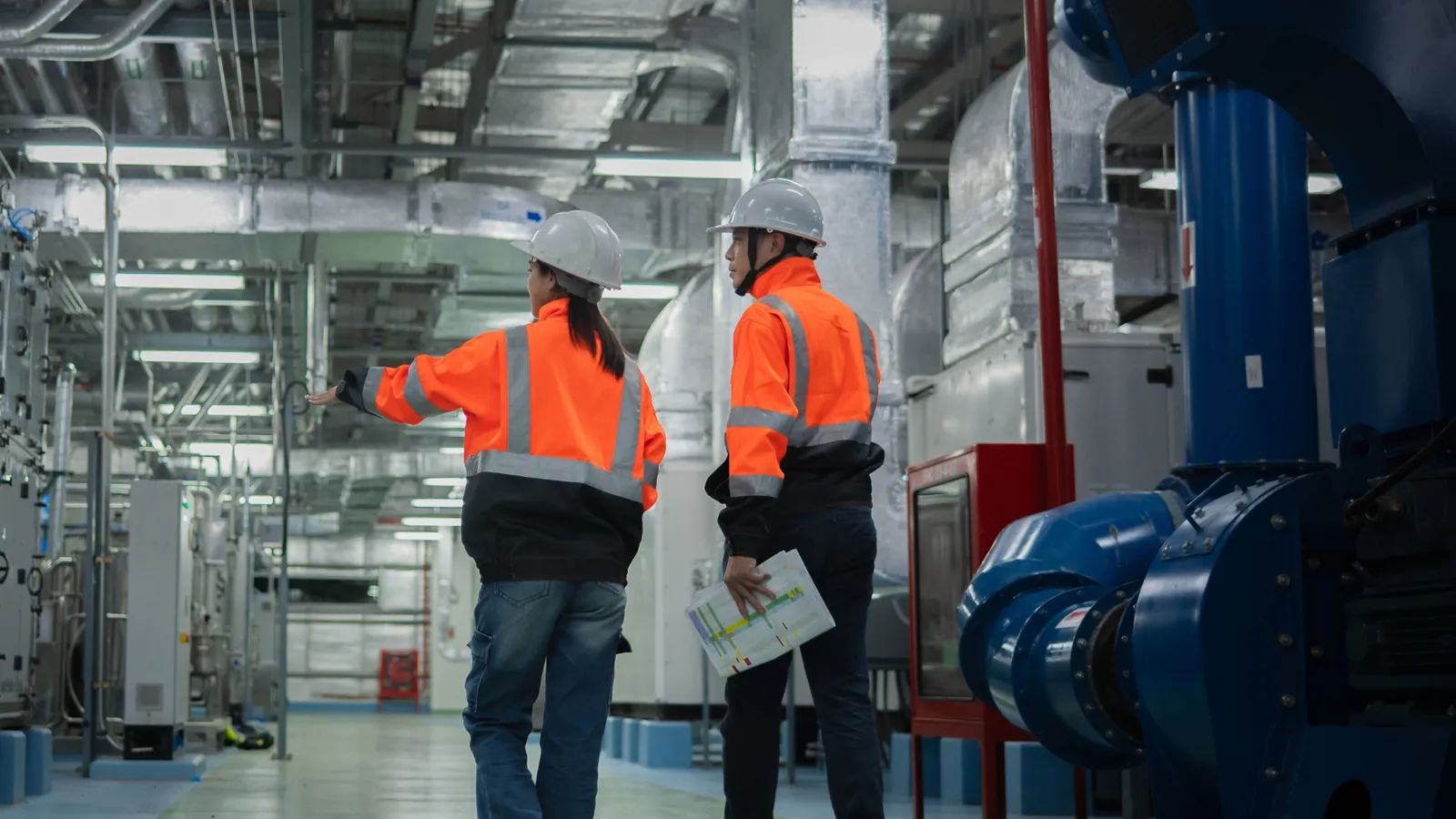 Two consultants in hi-vis reviewing plant on site